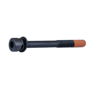 265B38-6 H.S. Head Bolt M5X50 With Wrm (29) TW001G