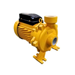 ปั้มหอยโข่ง ACM-1505S 2"x2" 2HP 2P IP55 220V
