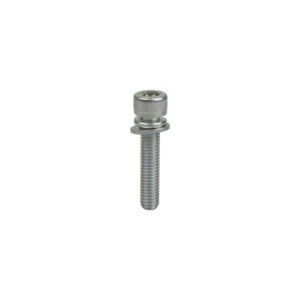 261246 Cap Screw (2-4) BL9000