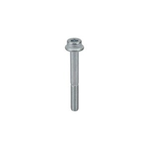 264223 Cap Screw M5x40 (2-12) BL9000